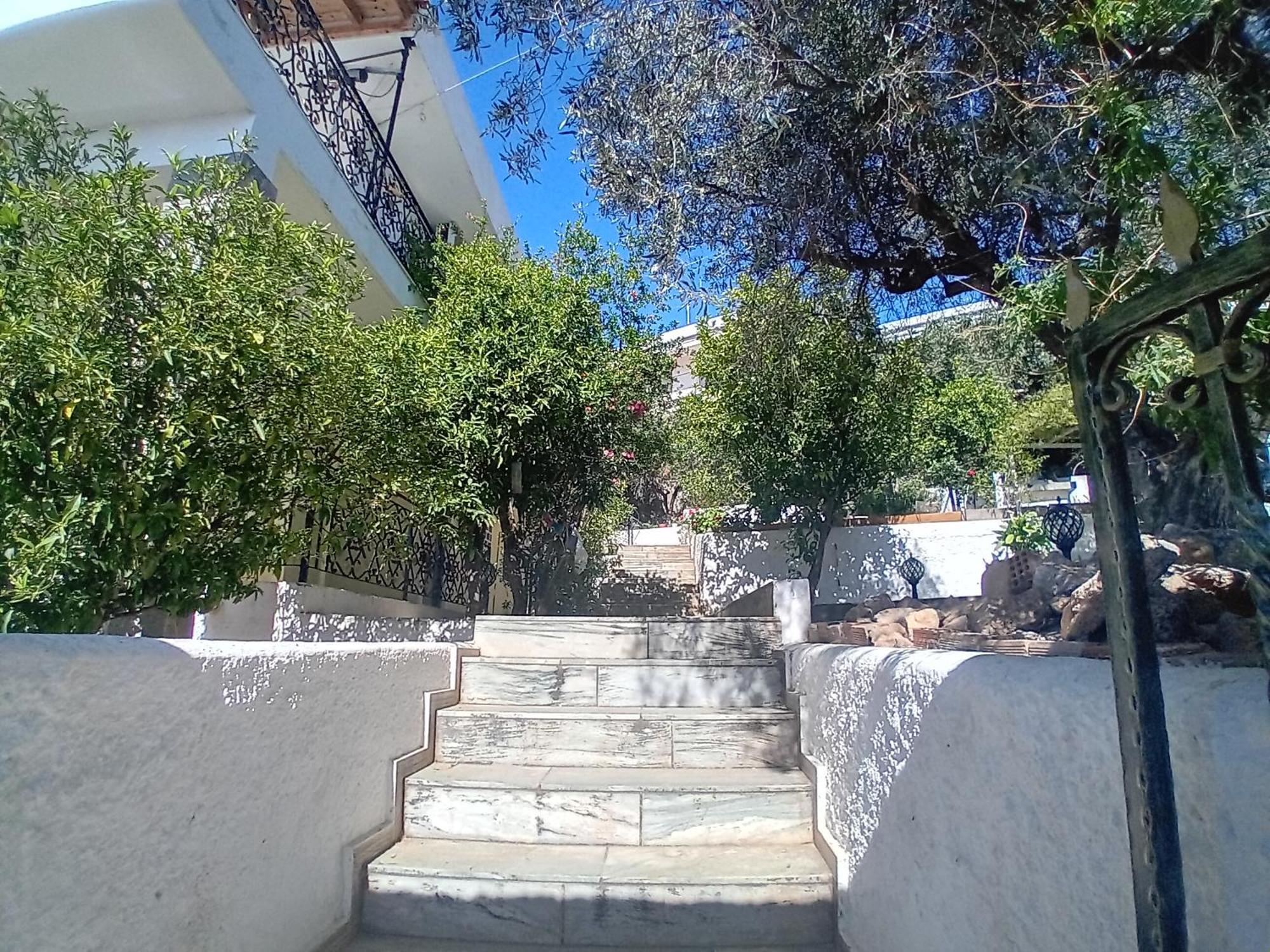 Αίγινα Εξοχική Κατοικία Eginitissa エクステリア 写真